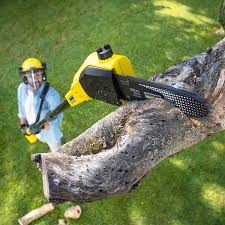 Best Lawn Mowing Services  in Heavener, OK